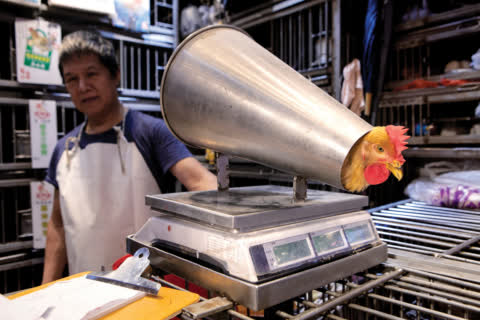 Chicken is sold in a new way in Link REIT TKO market. Chicken is sold in a new way in Link REIT TKO market.